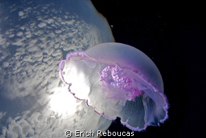 Jellyfish orbiting the Earth  :)  No photoshop. by Erich Reboucas 